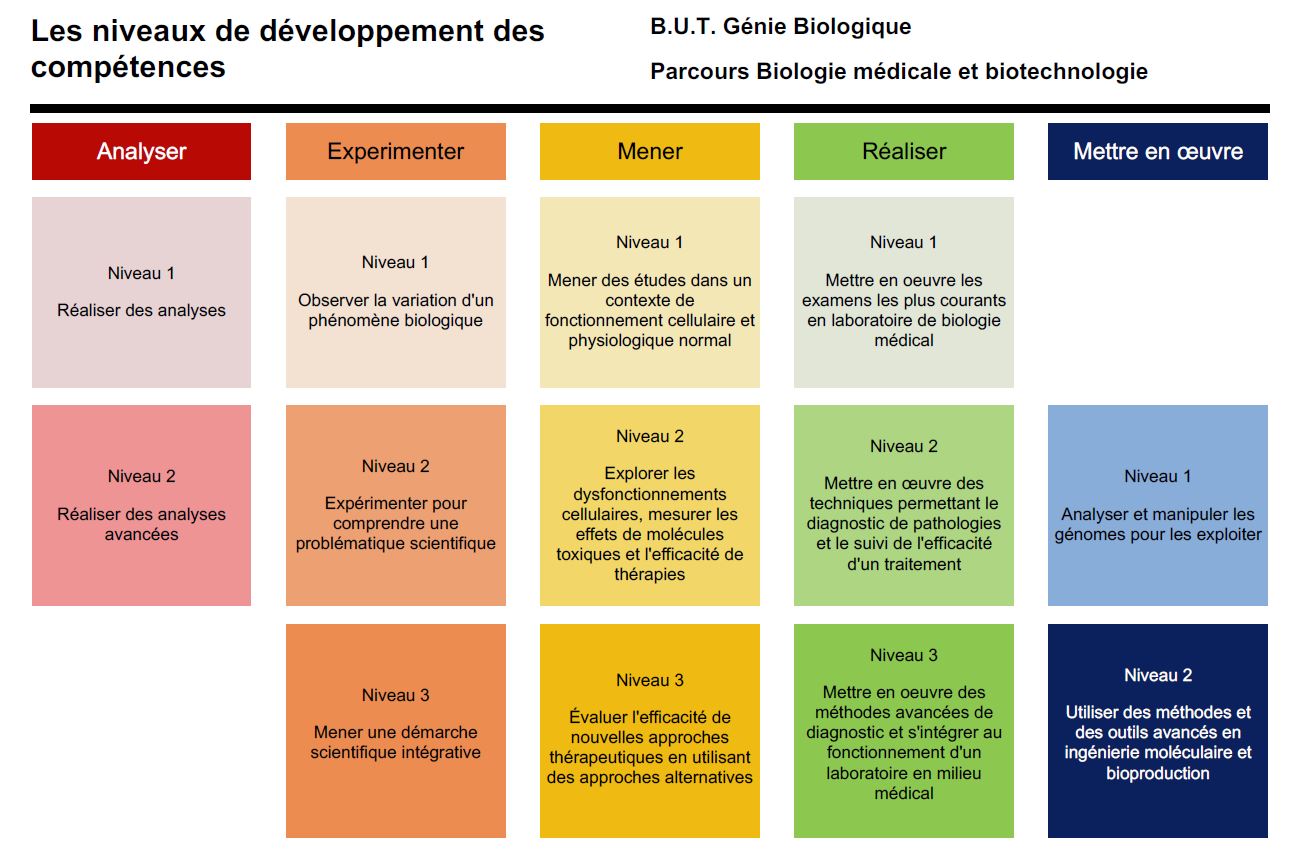 Comp��tences du parcours BMB du BUT GB