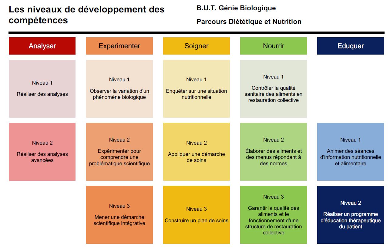 Comp��tences du parcours DN du BUT GB